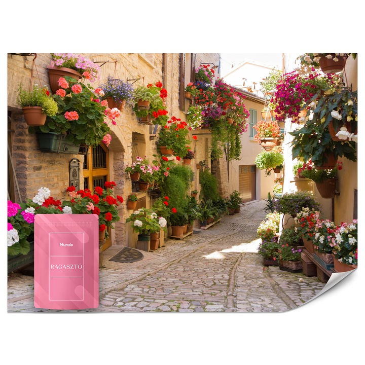 Fotótapéta Muralo Olasz Utca Virágok 500x350 Természet Modern Nappaliba