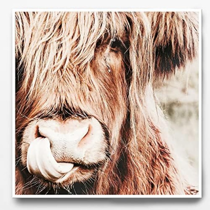 Tablou Canvas IUNTWEIE Vaci Highland, 50x50 cm, Decor Modern Living Room, Fara Rama