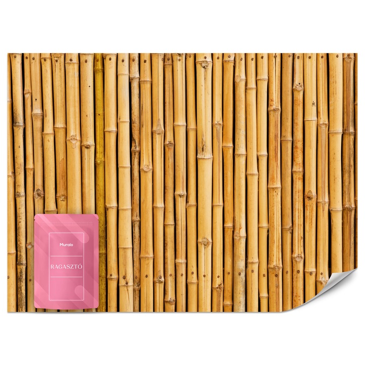 Fotótapéta Muralo Bambuszfal 500x350 Természet Modern Nappaliba