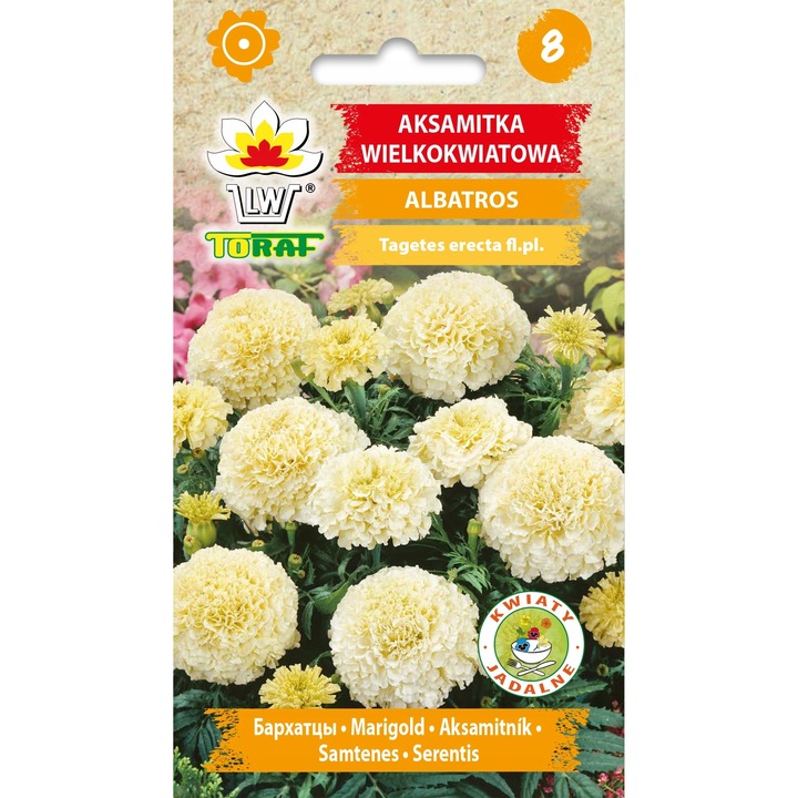 Seminte Aksamitka Albatros 0,3g, planta anuala, crem alb, 30-50cm