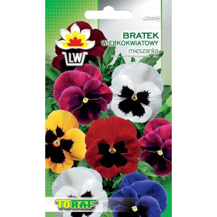 Bratek wielkokwiatowy mix, 0,2g, 20x30cm, multicolor