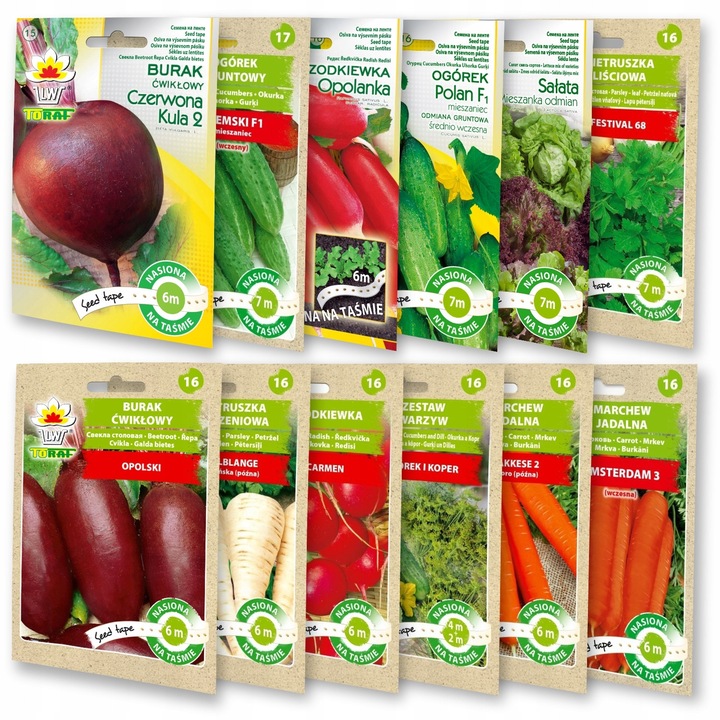 Set de Nasiona pe Tasa - Burak Cwiklowy, Pietruszka, Rzodkiewka, Ogorek, Salata, Marchew, Multicolor, 6m