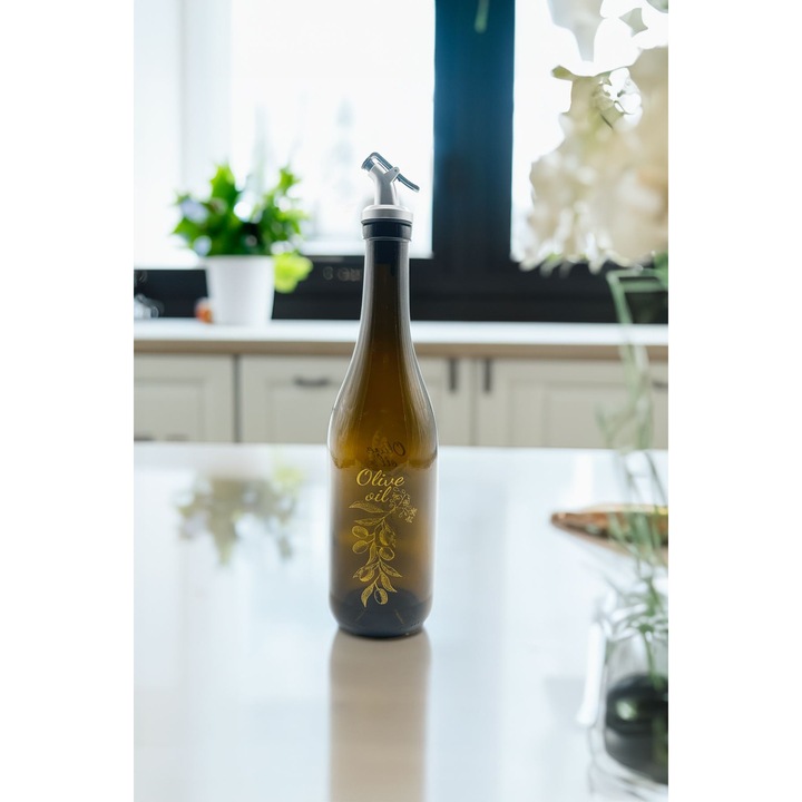 Dispenser ulei Hermia Concept, 750 ml, sticla, set 1 bucata, multicolor