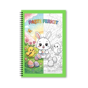 Activitati extracurriculare