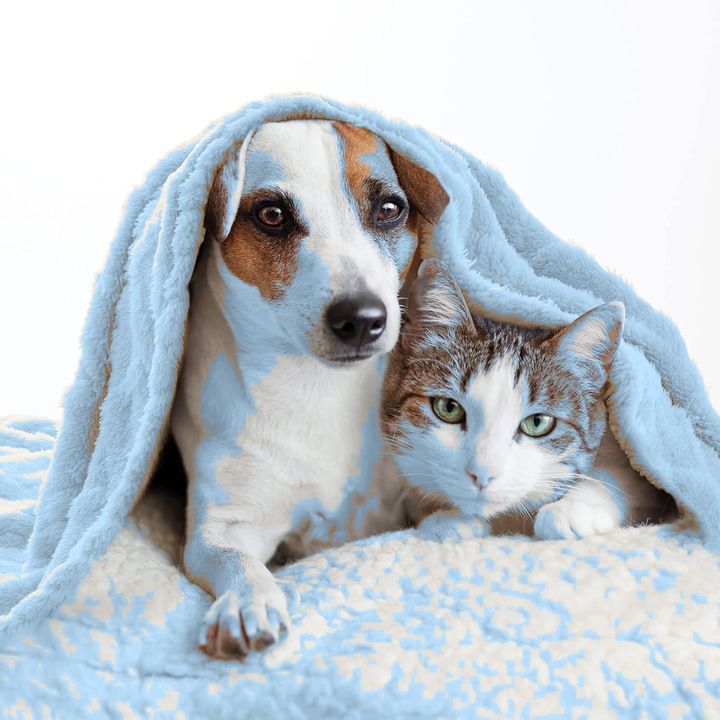 Меко поларно одеяло за куче или котка 70x100 СИН - MIULEE