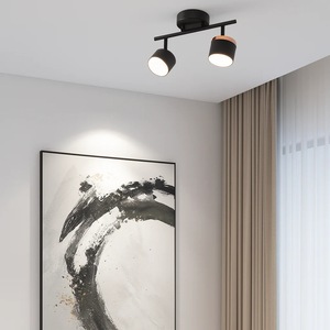 Полилеи и пендели