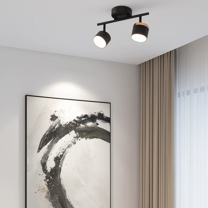 Aplica de tavan RFAN, model DB60310-2, 2 x soclu GX53, Negru/Auriu, 32x17.5x10cm