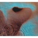 Pink Floyd - Meddle [remastered 2011] (cd)