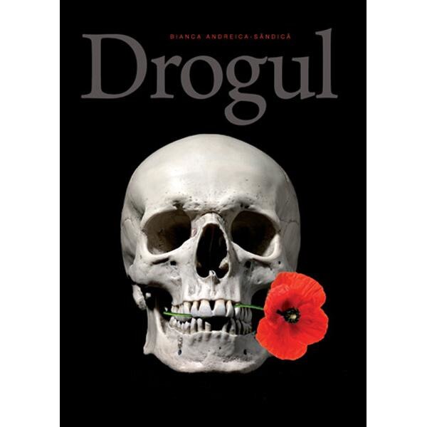 Drogul - Bianca Andreica-Sandica