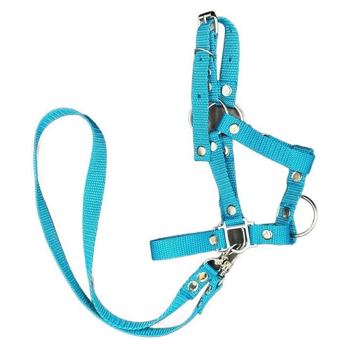 Játék kantár és zabla, KHT AURORA, óceánkék
