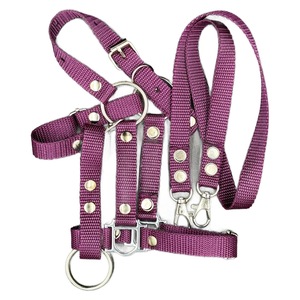 Interaktív gyerek játékok