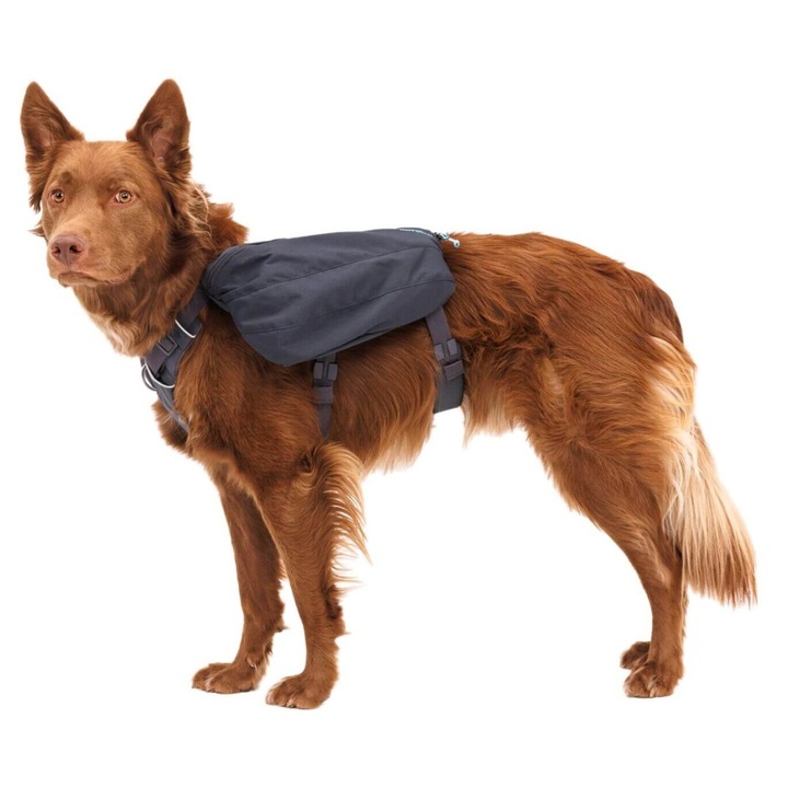 Rucsac pentru câini Ruffwear Front Range Day Pack, gri, 5 puncte de ajustare, dimensiune M
