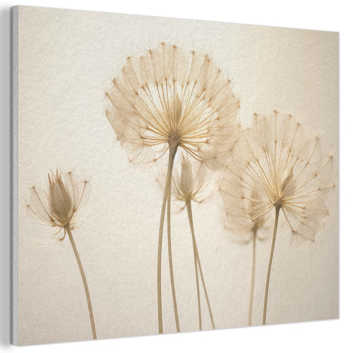 Акустична картина, Абстрактна, Декоративна, Всекидневна, Кухня, Модерно изкуство, Декорация на стени, Звукопоглъщащ панел Крем 80x60