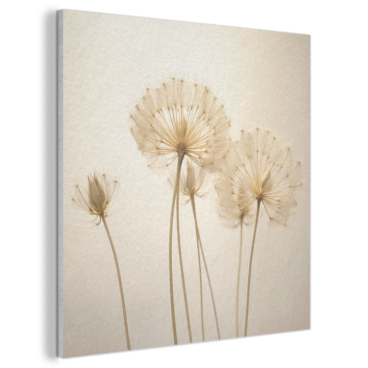 Акустична картина, Абстрактна, Декоративна, Всекидневна, Кухня, Модерно изкуство, Декорация на стени, Звукопоглъщащ панел Крем 90x90