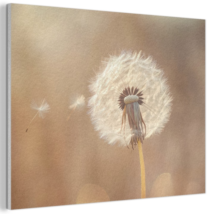 Tablou Acustic, Abstract, Decorative, Living, Bucatarie, Modern Art, Decorarea peretilor, Panou fonoabsorbant Maro deschis 80x60 cm