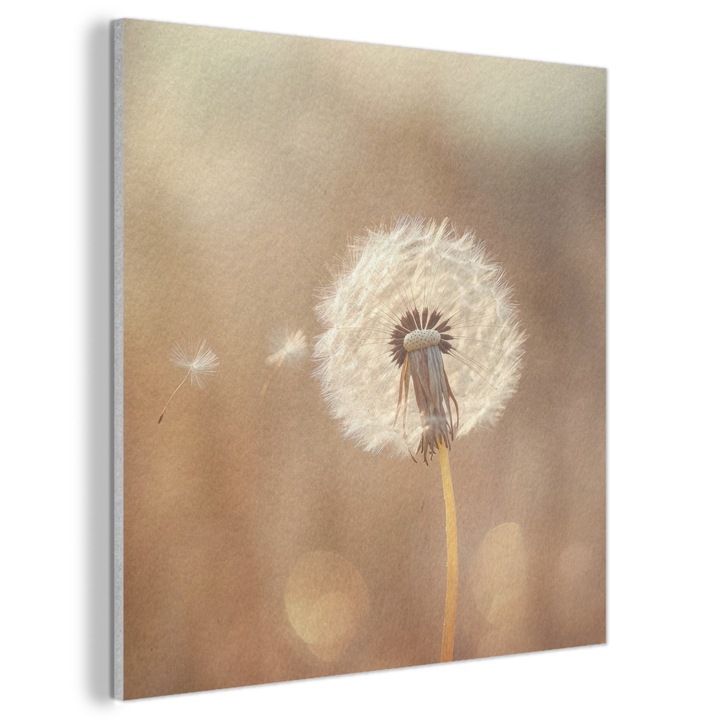 Акустична картина, Абстрактна, Декоративна, Всекидневна, Кухня, Модерно изкуство, Декорация на стени, Звукопоглъщащ панел Светлокафяв 90x90