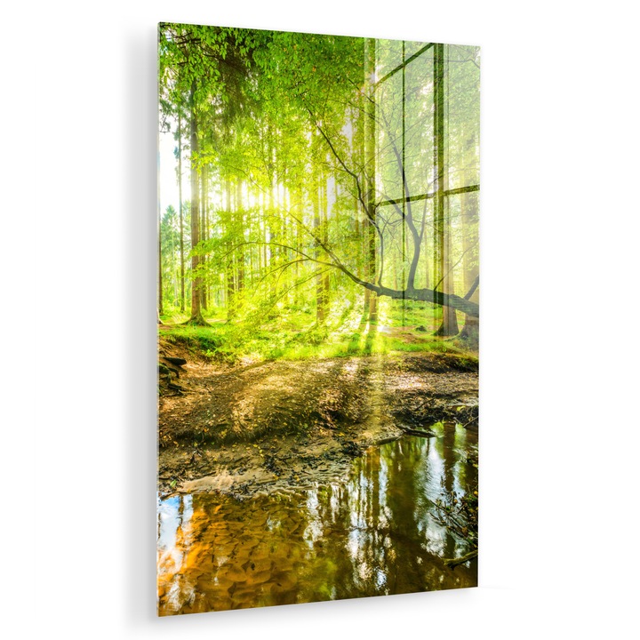 Tablou pe plexiglas, Abstract, Decorative, Living, Modern Art, Decorarea peretilor, Imagine imprimata sticla Verde 40x60