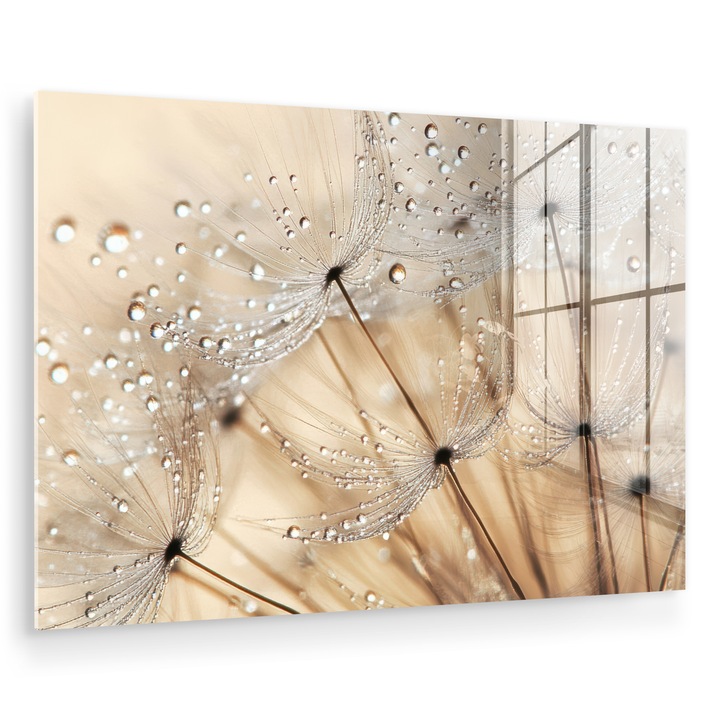 Tablou pe plexiglas, Abstract, Decorative, Living, Modern Art, Decorarea peretilor, Imagine imprimata sticla Maro 120x80