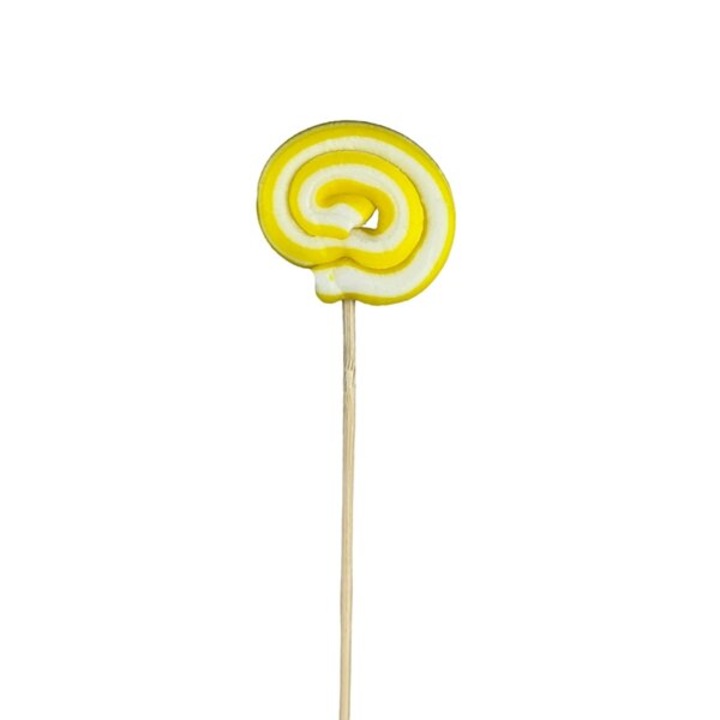 Acadea spirala, 6cm, galben