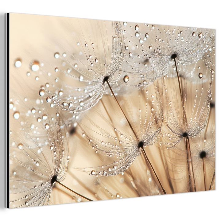 Tablou pe metal, Abstract, Decorative, Living, Bucatarie, Modern Art, Decorarea peretilor, Imprimare pe metal Maro 90x60 cm