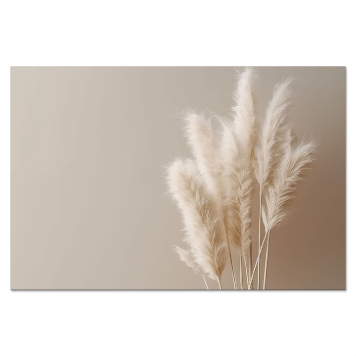 Protectie perete bucatarie, Protectie aragaz, Aluminiu, Termorezistent, Crem 60x40 cm