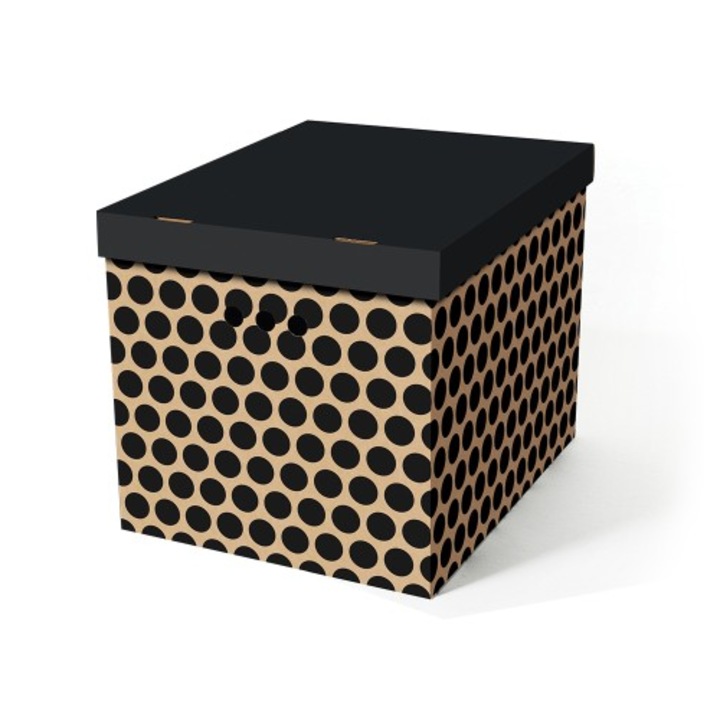 Cutie depozitare DekorHome, neagra, XL