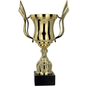 Cupe, trofee si medalii