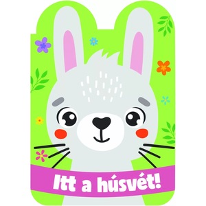 Activitati extracurriculare