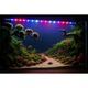 Lampa LED acvariu submersibilă, TD Stones, 36 cm, 5, 5 W, multicolor