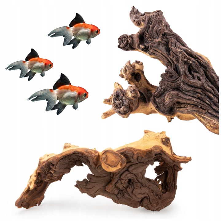 Radacina Mopani 40 cm, lemn dur, greu