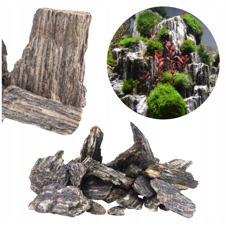 Pietre acvariu aspect lemnos 1-10 cm, 1 kg
