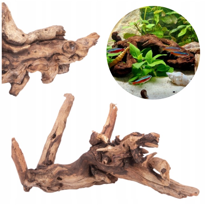 Radacina acvariu Desert naturala lemn 20 cm
