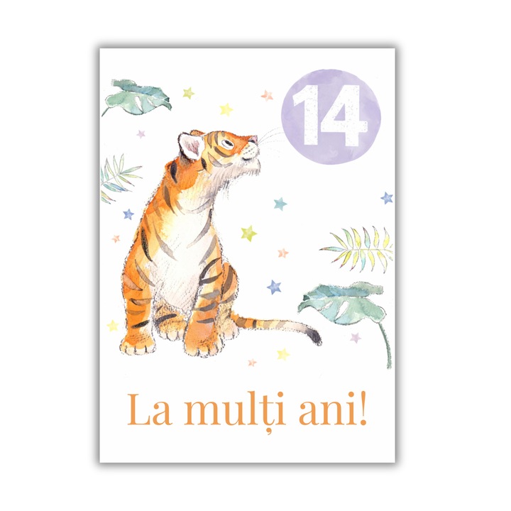 Felicitare 13x18cm cu plic, aniversare 14 ani