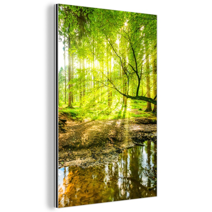 Картина върху метал, Абстрактна, Декоративна, Всекидневна, Кухня, Модерно изкуство, Декорация за стена, Печат върху метал Зелена 60x90 см