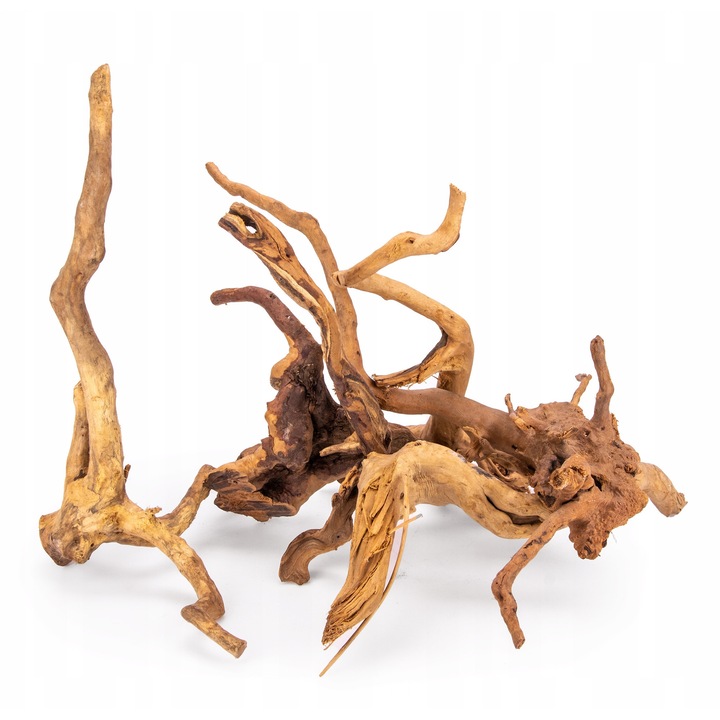 Radacina pentru acvariu Red Moor 1 kg, 3-8 buc. (20-50 cm)