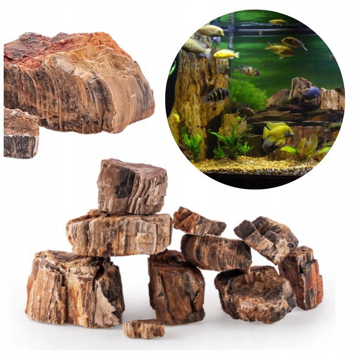 Set roci lemn fosilizat gri 3 kg pentru acvariu