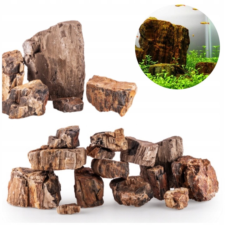 Set roci pentru acvariu, aspect lemn fosilizat gri, 5 kg