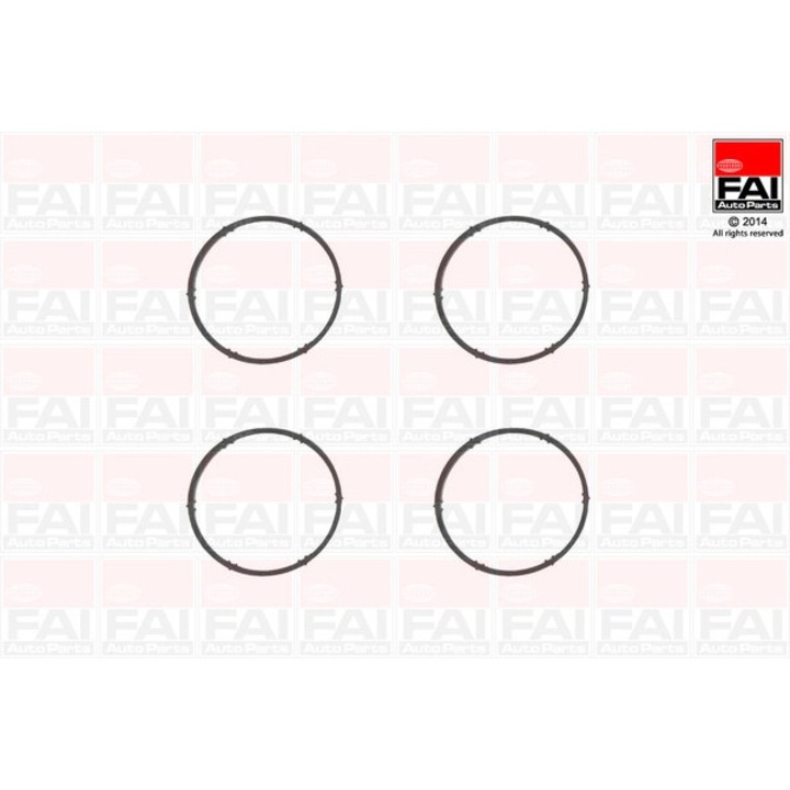 Set garnituri galerie admisie FAI Im1009, compatibil cu Audi A3/A4, Seat Altea/Ibiza/Leon, multicolor