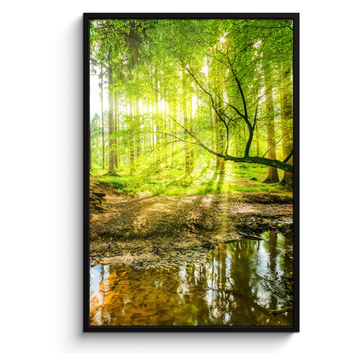 Tablou Poster inramat, Decorative, Living, Modern Art, Decorarea peretilor Verde 80x120 cm