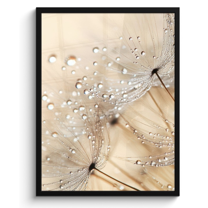 Рамкиран постер, Декоративен, Всекидневна, Модерно изкуство, Декорация на стени Кафяв 60x80 см