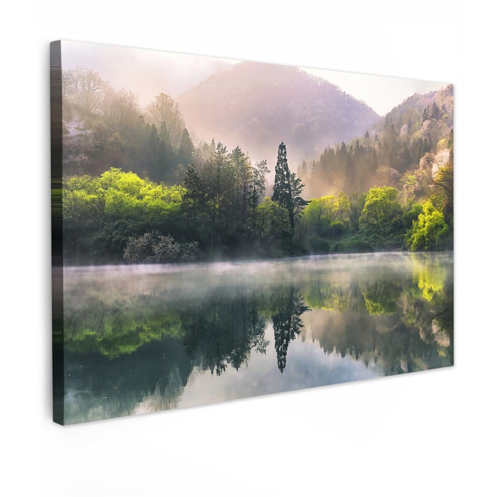 Tablou Canvas, Abstract, Decorative, Living, Bucatarie, Modern Art, Decorarea peretilor Verde deschis 90x60 cm