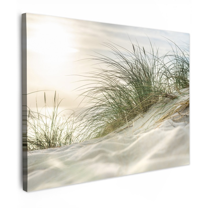 Канава, Абстракт, Декоративен, Хол, Кухня, Модерно изкуство, Декорация на стени Кремав 80x60 см