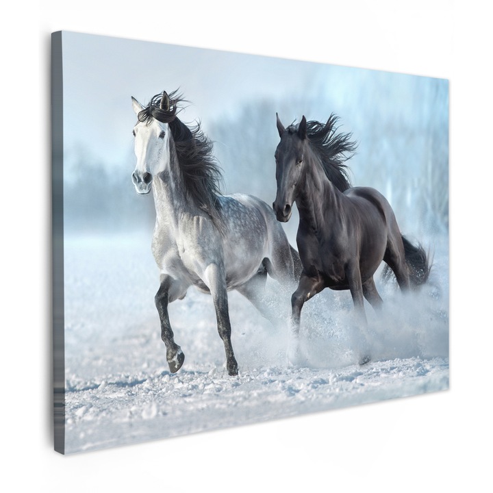 Картина върху платно, Абстрактна, Декоративна, Дневна, Кухня, Модерно изкуство, Декорация за стена, Антрацитно сиво 80x60 см