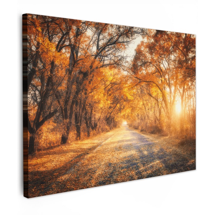 Канава картина, абстрактна, декоративна, за всекидневна, кухня, модерно изкуство, декорация на стена кехлибар 80x60 см