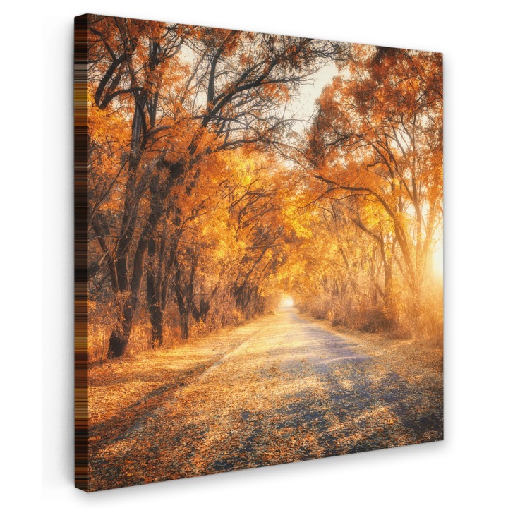 Tablou Canvas, Abstract, Decorative, Living, Bucatarie, Modern Art, Decorarea peretilor Chihlimbar 90x90 cm