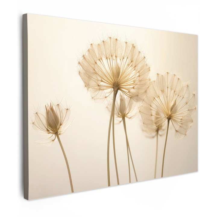 Канава, Абстракт, Декоративен, Хол, Кухня, Модерно изкуство, Декорация на стени Крем 80x60 см