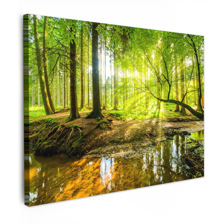 Канава картина, Абстрактна, Декоративна, Всекидневна, Кухня, Модерно изкуство, Декорация на стени, Зелена 80x60 см