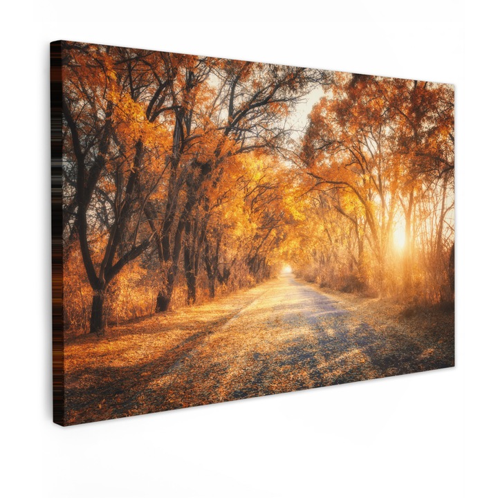 Tablou Canvas, Abstract, Decorative, Living, Bucatarie, Modern Art, Decorarea peretilor Chihlimbar 90x60 cm