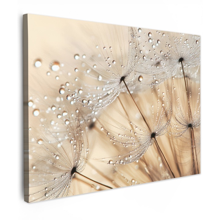 Канава картина, Абстрактна, Декоративна, Дневна, Кухня, Модерно изкуство, Декорация на стени Кафяво 80x60 см