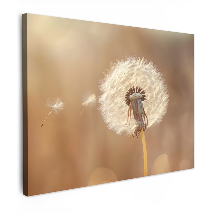 Канава картина, Абстрактна, Декоративна, Дневна, Кухня, Модерно изкуство, Декорация за стена Светлокафяв 80x60 см